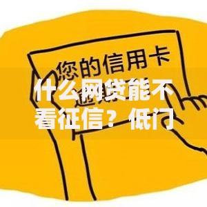什么网贷能不看征信？低门槛借款渠道解析