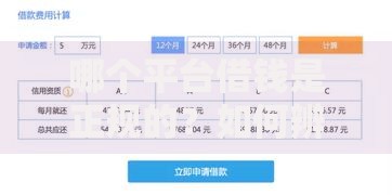 哪个平台借钱是正规的？如何辨别安全借贷渠道