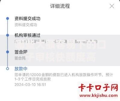 哪些大额容易下的口子审核快额度高