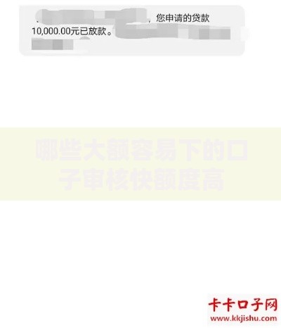 哪些大额容易下的口子审核快额度高