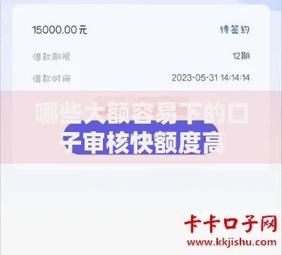 哪些大额容易下的口子审核快额度高