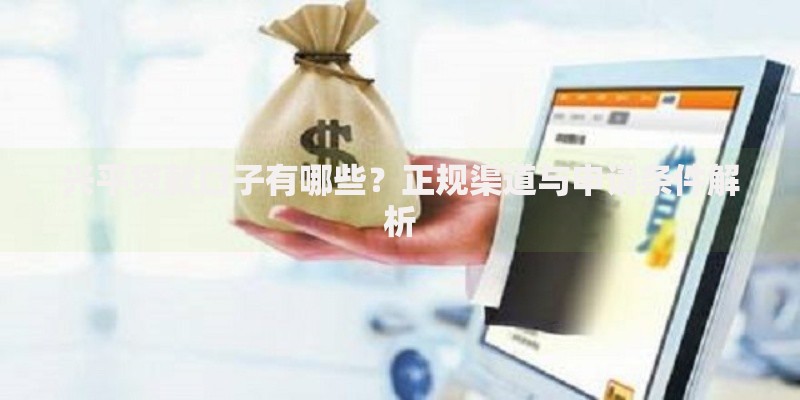 兴平贷款口子有哪些？正规渠道与申请条件解析