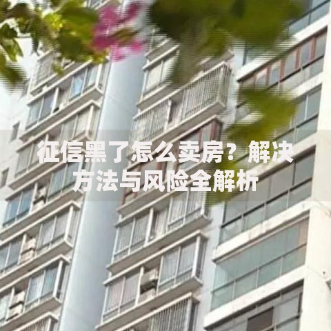 征信黑了怎么卖房？解决方法与风险全解析