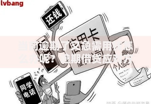 当前逾期了又急需用钱怎么办呢？逾期借贷应对方案解析