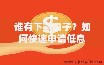 谁有下款口子？如何快速申请低息贷款