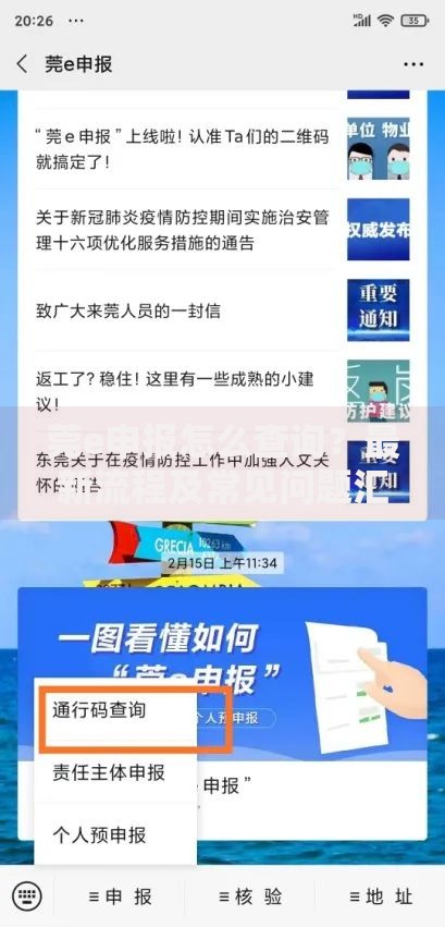 莞e申报怎么查询？最新流程及常见问题汇总