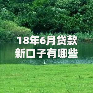 18年6月贷款新口子有哪些？最新政策与申请全解析