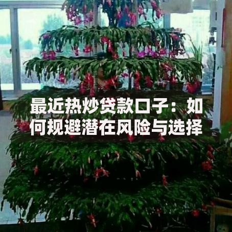 最近热炒贷款口子：如何规避潜在风险与选择正规渠道？