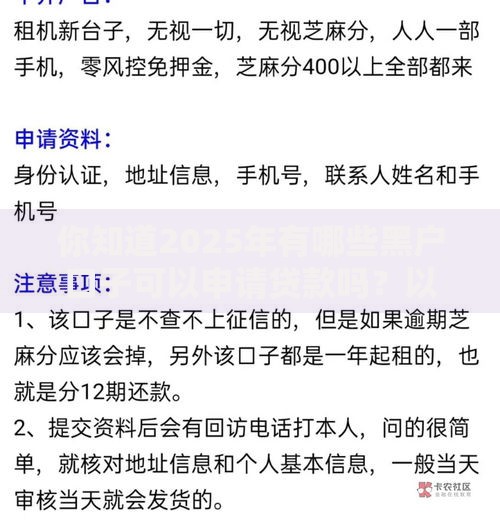 你知道2025年有哪些黑户口子可以申请贷款吗？以下几点非常有用