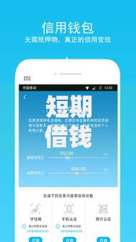 短期借钱7一14天,为您介绍5款网上贷款平台好下款