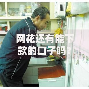 网花还有能下款的口子吗？最新借款渠道解析