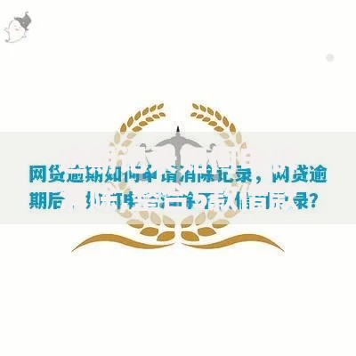 逾期记录如何申诉消除,整合5款借款平台贷款快