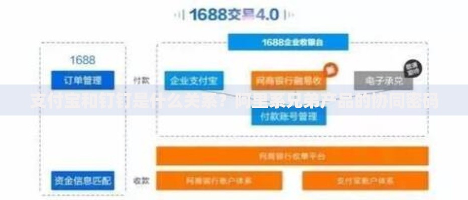 支付宝和钉钉是什么关系？阿里系兄弟产品的协同密码