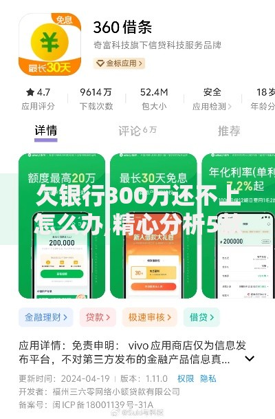 欠银行300万还不上怎么办,精心分析5款网贷查询平台