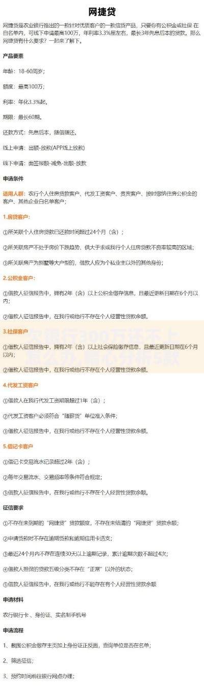欠银行300万还不上怎么办,精心分析5款网贷查询平台