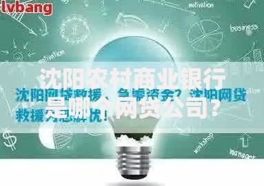 沈阳农村商业银行是哪个网贷公司？解析其贷款业务模式