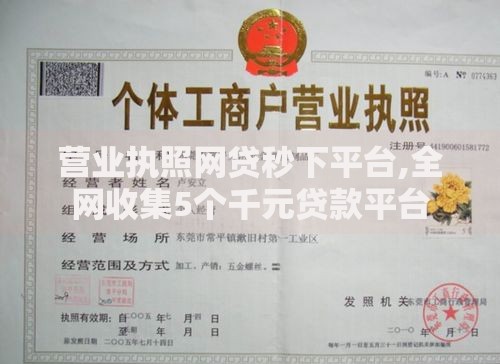 营业执照网贷秒下平台,全网收集5个千元贷款平台