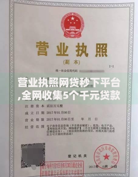 营业执照网贷秒下平台,全网收集5个千元贷款平台