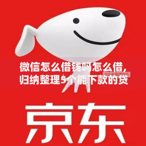 微信怎么借钱吗怎么借,归纳整理5个能下款的贷款平台