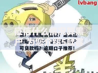 征信什么情况算黑户,为您介绍5款容易下款的网贷口子