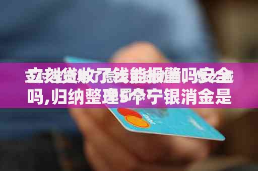 立刻贷收了钱能报警吗安全吗,归纳整理5个宁银消金是什么贷款平台
