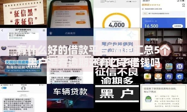 有什么好的借款平台,简单汇总5个黑户没有逾期还有口子借钱吗
