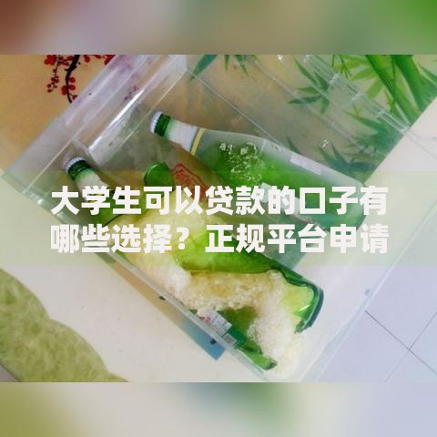 大学生可以贷款的口子有哪些选择？正规平台申请攻略详解
