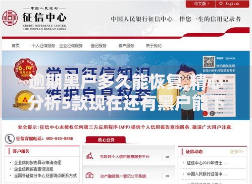 逾期黑户多久能恢复,精心分析5款现在还有黑户能下款的口子吗