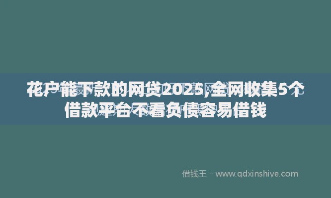 花户能下款的网贷2025,全网收集5个借款平台不看负债容易借钱