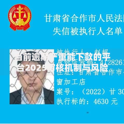 当前逾期严重能下款的平台2025审核机制与风险解析