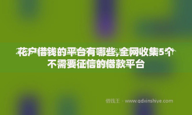 花户借钱的平台有哪些,全网收集5个不需要征信的借款平台