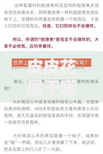 皮皮花属于哪个系列口子？贷款平台产品解析与正规资质说明