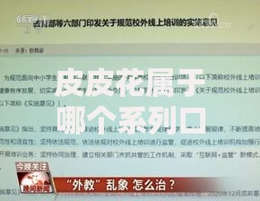 皮皮花属于哪个系列口子？贷款平台产品解析与正规资质说明