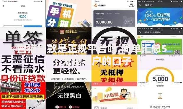 白猫贷款是正规平台吗,简单汇总5个无视黑户的口子
