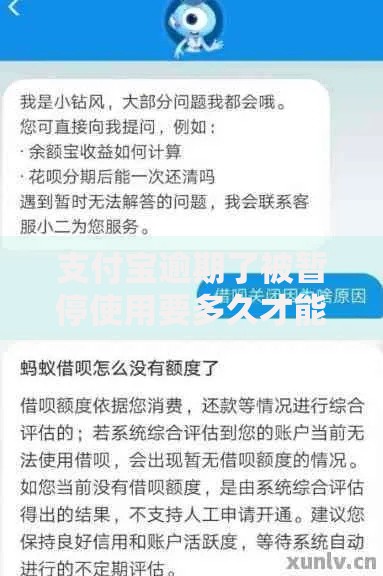 支付宝逾期了被暂停使用要多久才能恢复？关键因素和应对方法解析