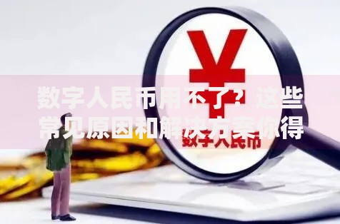 数字人民币用不了？这些常见原因和解决方案你得知道