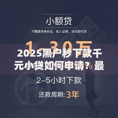 2025黑户秒下款千元小贷如何申请？最新攻略解析！