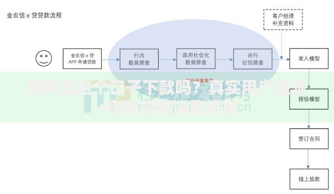 周转王这个口子下款吗？真实用户经验+审核流程深度解析