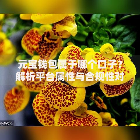 元宝钱包属于哪个口子？解析平台属性与合规性对比