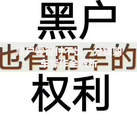 黑户零首付不出一分钱购车操作全解析