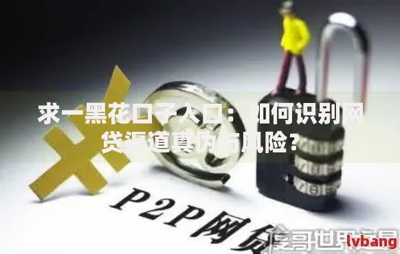 求一黑花口子入口：如何识别网贷渠道真伪与风险？