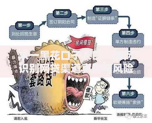 求一黑花口子入口：如何识别网贷渠道真伪与风险？