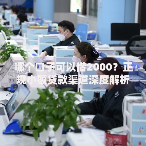哪个口子可以借2000？正规小额贷款渠道深度解析
