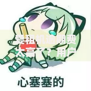 爱租机逾期费太高了？用户该如何应对高额违约金问题