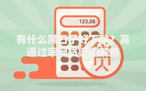 有什么黑口子好下款？高通过率网贷渠道解析