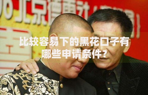 比较容易下的黑花口子有哪些申请条件？