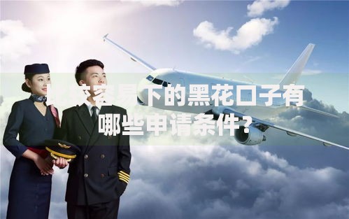 比较容易下的黑花口子有哪些申请条件？