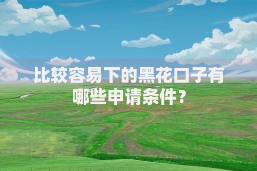 比较容易下的黑花口子有哪些申请条件？