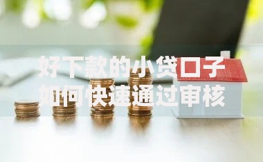 好下款的小贷口子如何快速通过审核？