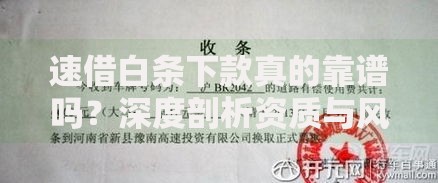 速借白条下款真的靠谱吗？深度剖析资质与风险